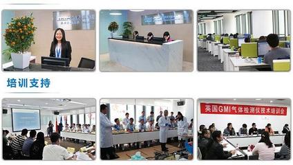 美國福祿克F319交直流數字鉗表 技術解析、選購指南與應用場景